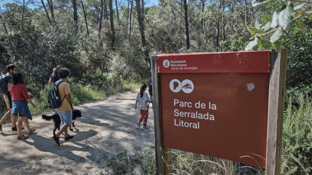 noticia_1782220573.jpg