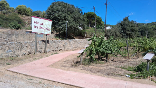 noticia_1789564784.jpg