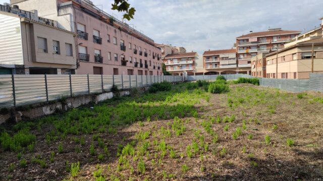 noticia_1790860390.jpg