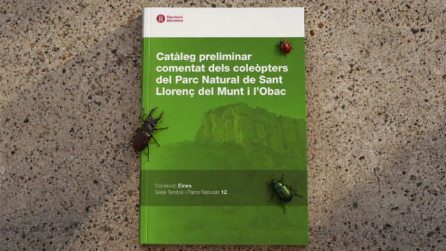 noticia_1793110563.jpg